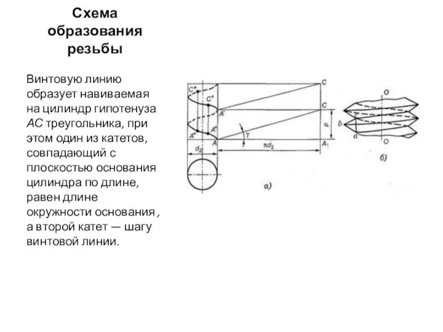 Схема образования резьбы Винтовую линию образует навиваемая на цилиндр гипотенуза АС