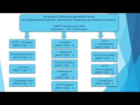 Ресурсный учебно-методический центр по сопровождению детей с различными формами умственной отсталости