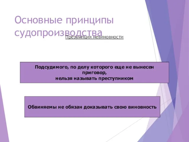 Основные принципы судопроизводства Презумпция невиновности Обвиняемы не обязан доказывать свою виновность