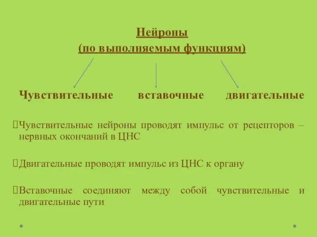 Нейроны (по выполняемым функциям) Чувствительные вставочные двигательные Чувствительные нейроны проводят импульс