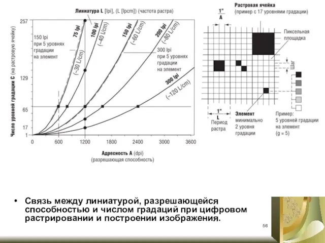 Связь между линиатурой, разрешающейся способностью и числом градаций при цифровом растрировании и построении изображения.