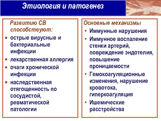 Этиология и патогенез Развитию СВ способствуют: острые вирусные и бактериальные инфекции