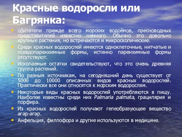 Красные водоросли или Багрянка: обитатели прежде всего морских водоёмов, пресноводных представителей