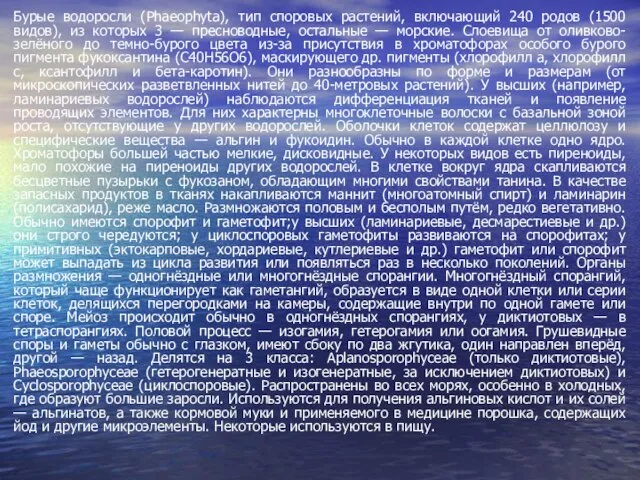 Бурые водоросли (Phaeophyta), тип споровых растений, включающий 240 родов (1500 видов),