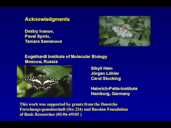 Acknowledgments Dmitry Ivanov, Pavel Spirin, Tamara Semenova Engelhardt Institute of Molecular