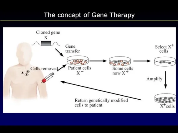 The concept of Gene Therapy