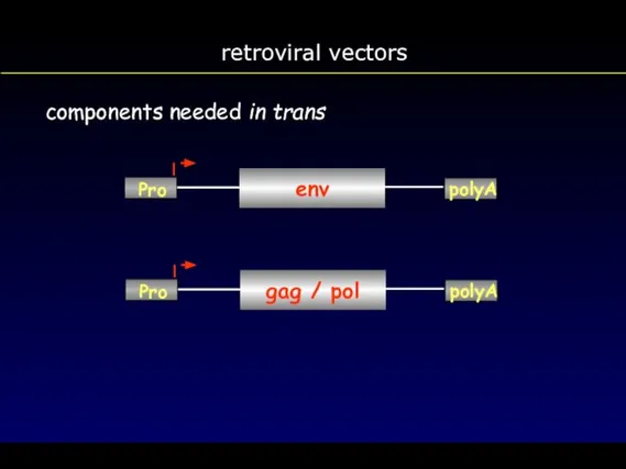 retroviral vectors components needed in trans