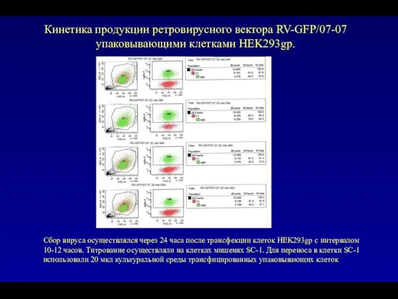 Кинетика продукции ретровирусного вектора RV-GFP/07-07 упаковывающими клетками HEK293gp. Сбор вируса осуществлялся