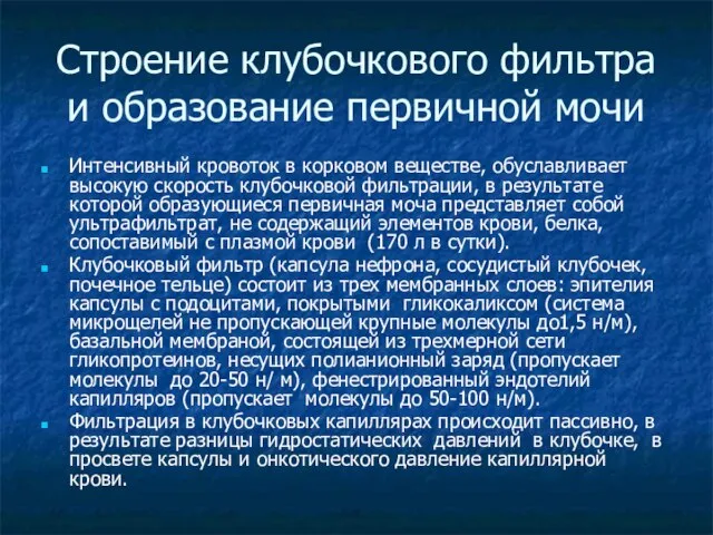 Строение клубочкового фильтра и образование первичной мочи Интенсивный кровоток в корковом