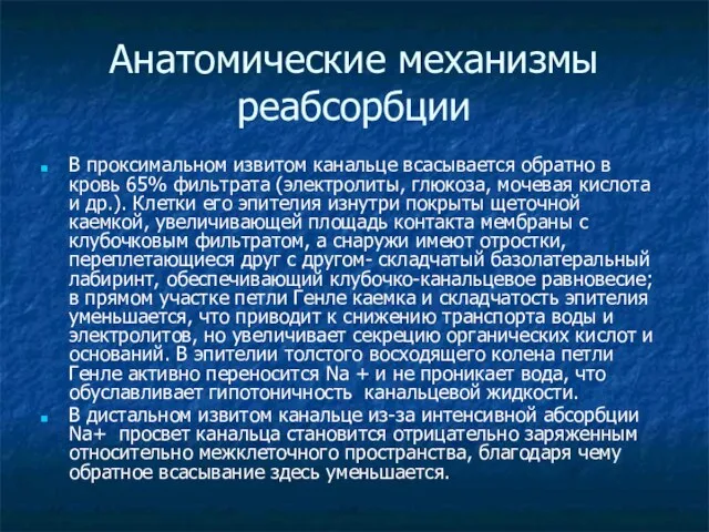 Анатомические механизмы реабсорбции В проксимальном извитом канальце всасывается обратно в кровь