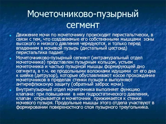 Мочеточниково-пузырный сегмент Движение мочи по мочеточнику происходит перистальтчески, в связи с