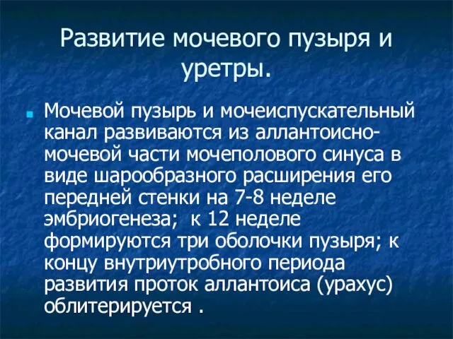 Развитие мочевого пузыря и уретры. Мочевой пузырь и мочеиспускательный канал развиваются