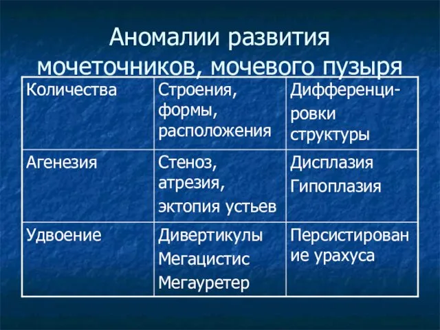 Аномалии развития мочеточников, мочевого пузыря