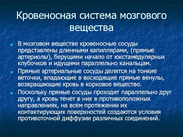 Кровеносная система мозгового вещества В мозговом веществе кровеносные сосуды представлены длинными