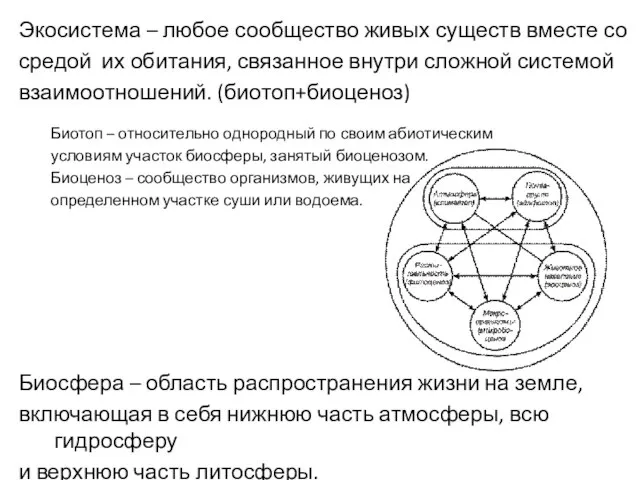 Экосистема – любое сообщество живых существ вместе со средой их обитания,