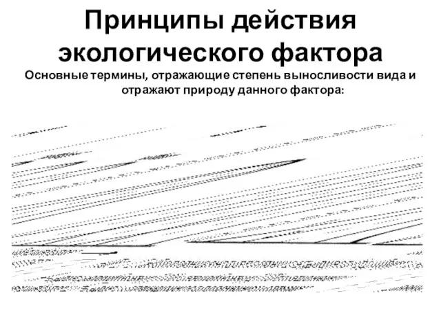 Принципы действия экологического фактора Основные термины, отражающие степень выносливости вида и отражают природу данного фактора: