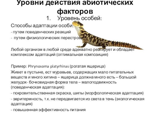 Уровень особей: Способы адаптации особи: - путем поведенческих реакций - путем