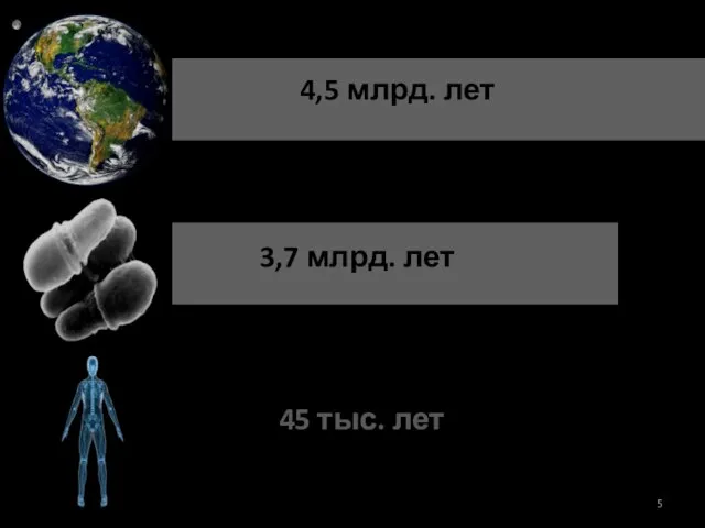 4,5 млрд. лет 3,7 млрд. лет 45 тыс. лет