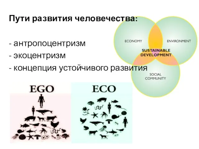 Пути развития человечества: - антропоцентризм - экоцентризм - концепция устойчивого развития