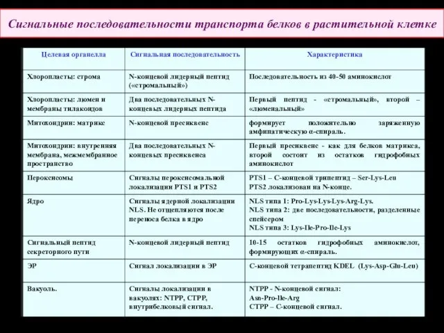 Сигнальные последовательности транспорта белков в растительной клетке