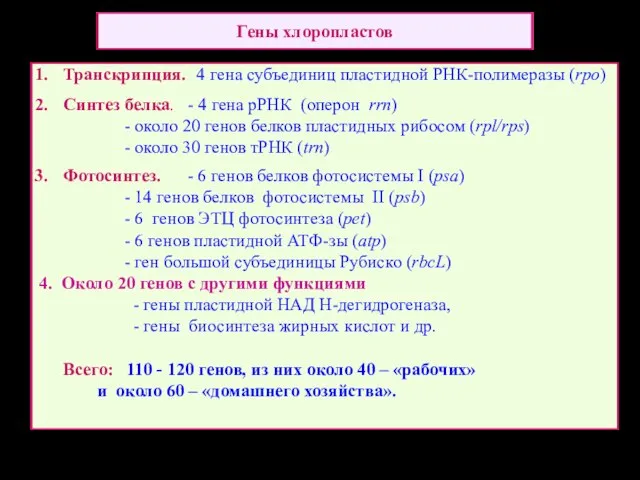 Гены хлоропластов Транскрипция. 4 гена субъединиц пластидной РНК-полимеразы (rpo) Синтез белка.