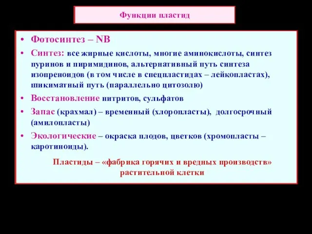 Функции пластид Фотосинтез – NB Синтез: все жирные кислоты, многие аминокислоты,