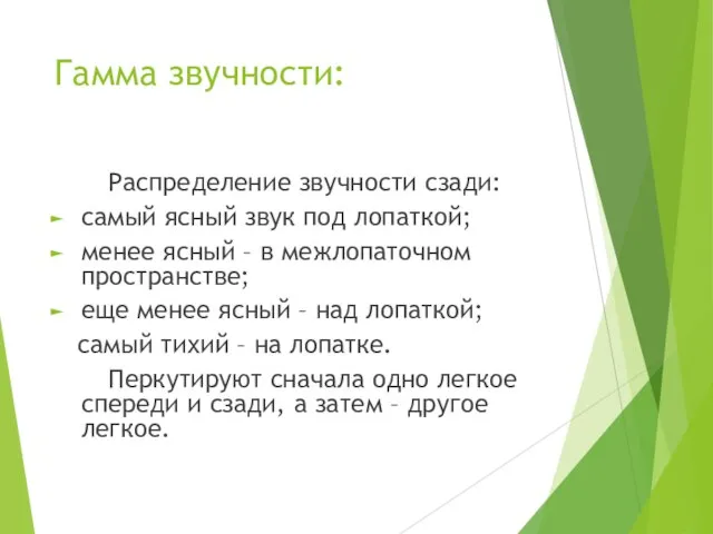 Гамма звучности: Распределение звучности сзади: самый ясный звук под лопаткой; менее