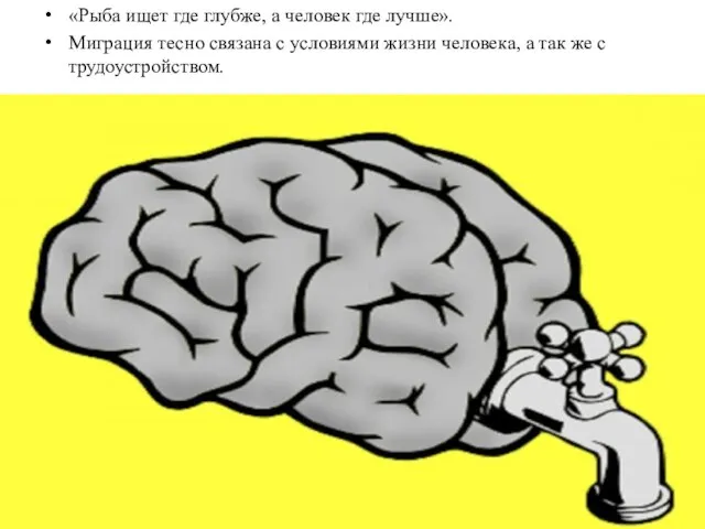 «Рыба ищет где глубже, а человек где лучше». Миграция тесно связана