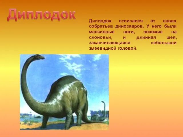 Диплодок отличался от своих собратьев динозавров. У него были массивные ноги,