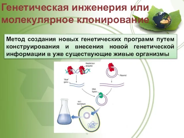 Метод создания новых генетических программ путем конструирования и внесения новой генетической