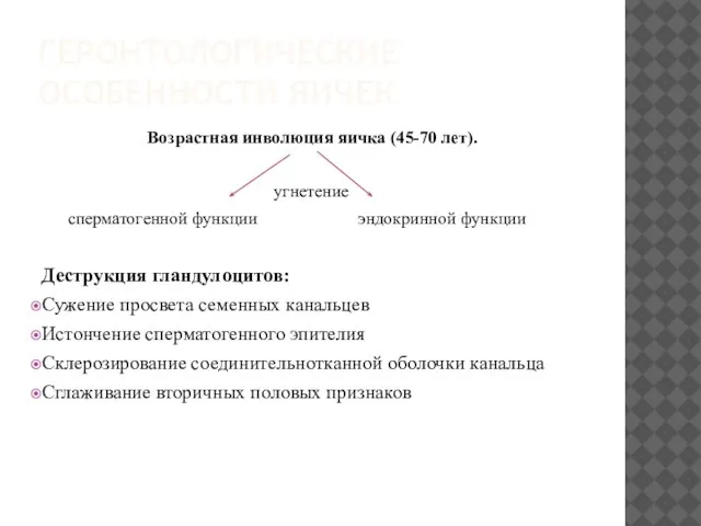 ГЕРОНТОЛОГИЧЕСКИЕ ОСОБЕННОСТИ ЯИЧЕК Возрастная инволюция яичка (45-70 лет). угнетение сперматогенной функции