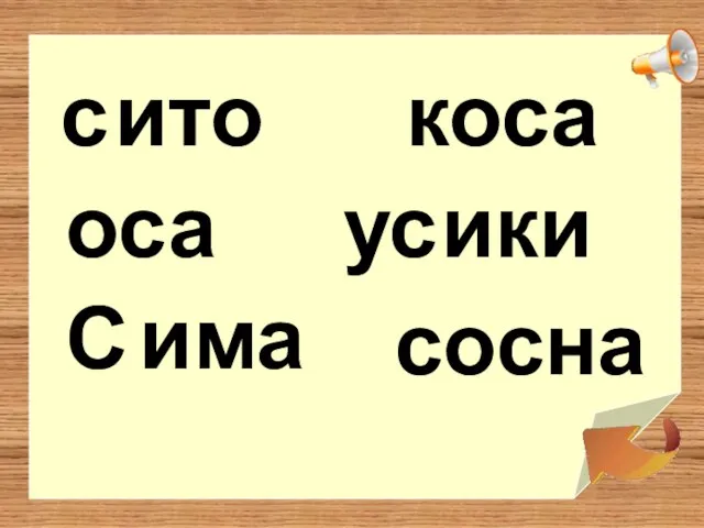 ито с оса има сосна коса у ики с С