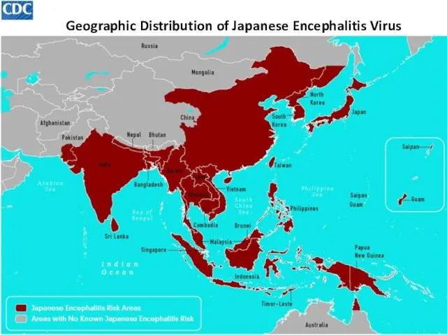 Geographic Distribution of Japanese Encephalitis Virus