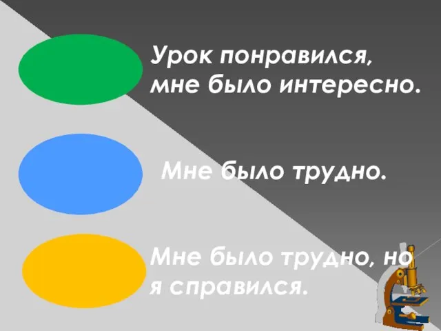 Урок понравился, мне было интересно. Мне было трудно. Мне было трудно, но я справился.