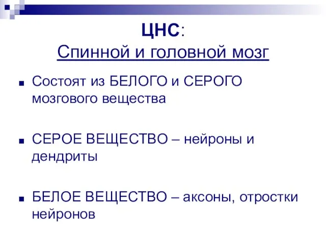 ЦНС: Спинной и головной мозг Состоят из БЕЛОГО и СЕРОГО мозгового