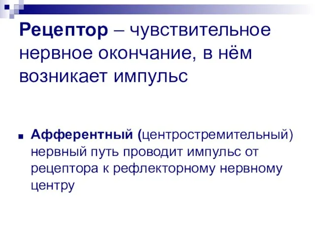 Рецептор – чувствительное нервное окончание, в нём возникает импульс Афферентный (центростремительный)