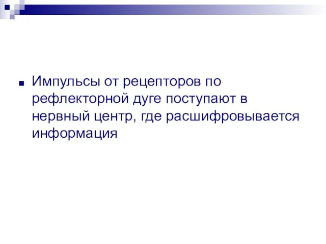 Импульсы от рецепторов по рефлекторной дуге поступают в нервный центр, где расшифровывается информация