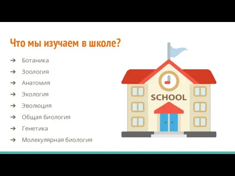 Что мы изучаем в школе? Ботаника Зоология Анатомия Экология Эволюция Общая биология Генетика Молекулярная биология