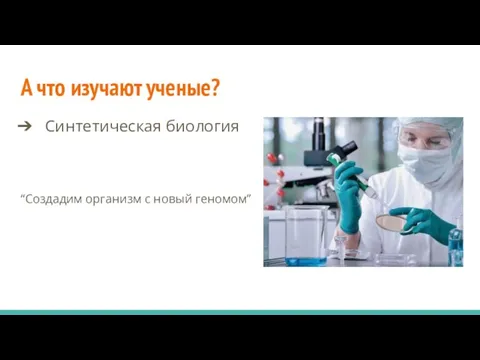 А что изучают ученые? Синтетическая биология “Создадим организм с новый геномом”