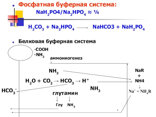 Фосфатная буферная система: NaH2PO4/Na2HPO4 ≈ ¼ H2CO3 + Na2HPO4 NaHCO3 +