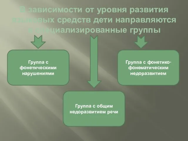 В зависимости от уровня развития языковых средств дети направляются в специализированные