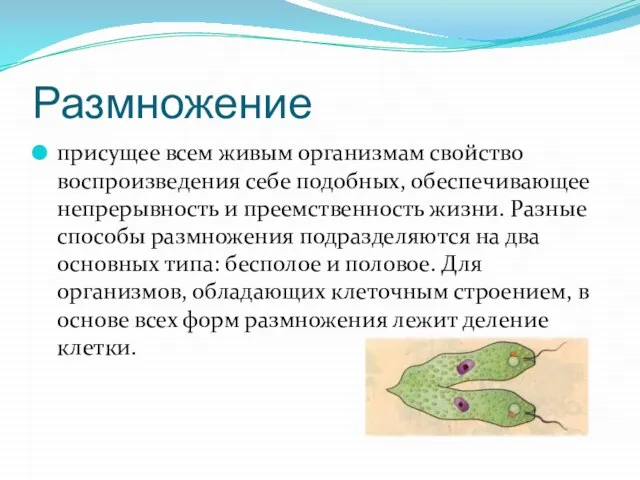 Размножение присущее всем живым организмам свойство воспроизведения себе подобных, обеспечивающее непрерывность