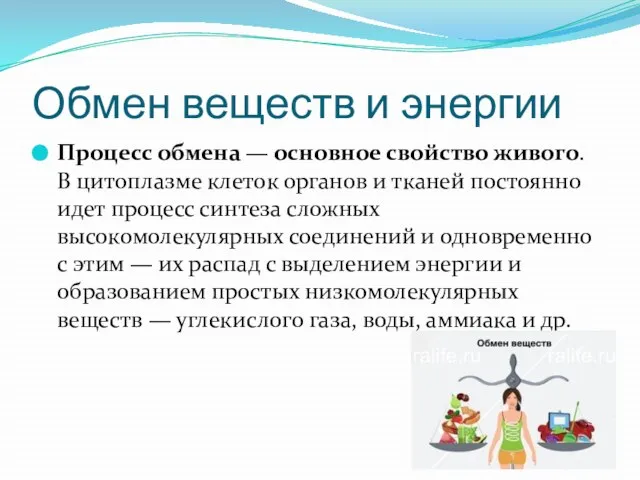 Обмен веществ и энергии Процесс обмена — основное свойство живого. В