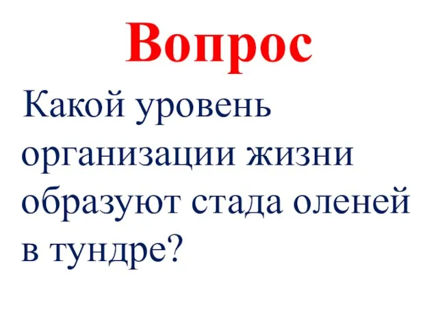 Вопрос Какой уровень организации жизни образуют стада оленей в тундре?