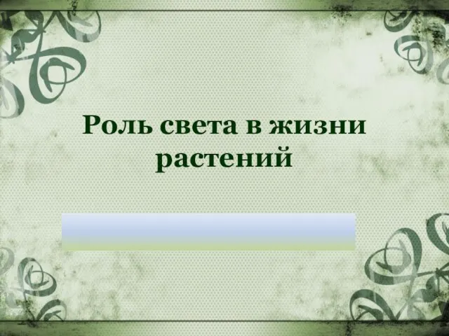 Роль света в жизни растений