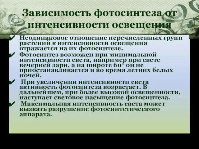 Зависимость фотосинтеза от интенсивности освещения Неодинаковое отношение перечисленных групп растений к