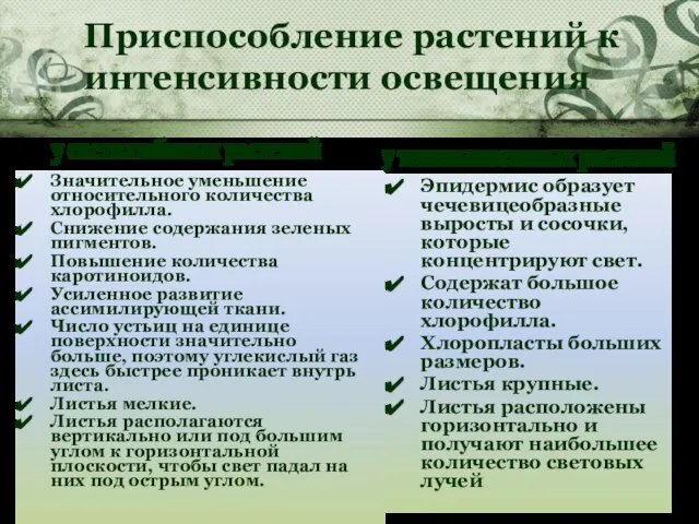 Значительное уменьшение относительного количества хлорофилла. Снижение содержания зеленых пигментов. Повышение количества