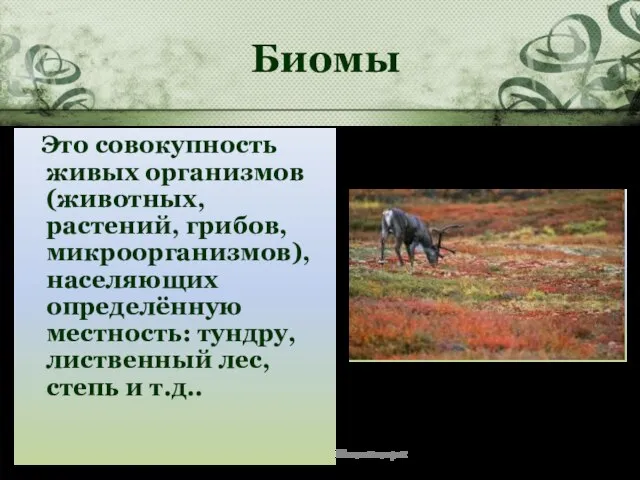 Душак О.М. Железногорск Биомы Это совокупность живых организмов (животных, растений, грибов,