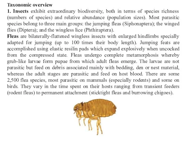 Taxonomic overview 1. Insects exhibit extraordinary biodiversity, both in terms of