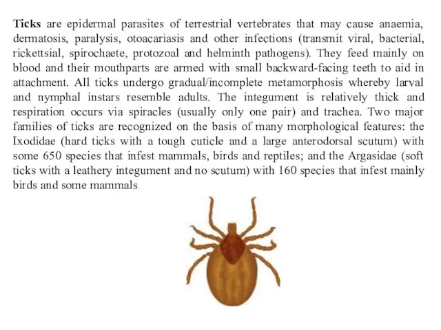 Ticks are epidermal parasites of terrestrial vertebrates that may cause anaemia,